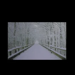 Online Small Fiber Optic Lighted Winter Wooden Bridge Canvas Wall Art 12" x 15.75" Door