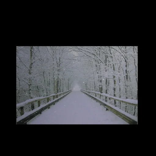 Online Small Fiber Optic Lighted Winter Wooden Bridge Canvas Wall Art 12" x 15.75" Door