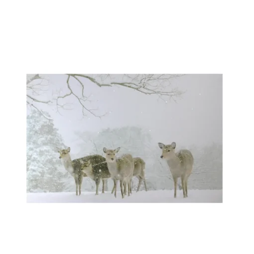 Best Small Fiber Optic Lighted Winter Woods with Deer Canvas Wall Art 12" x 11.75" Door