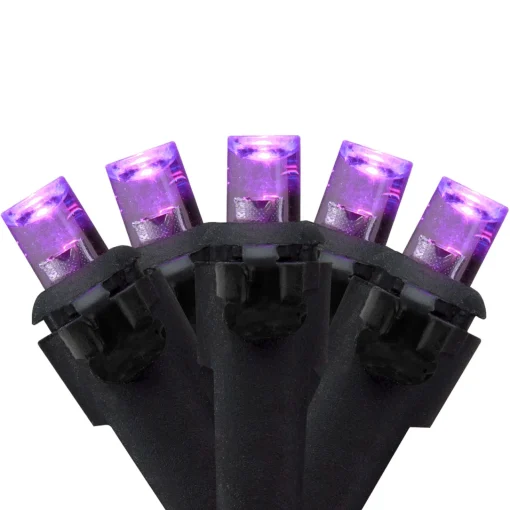 Best Wide Angle LED Christmas Lights - Purple - 16' Black Wire - 50ct Led