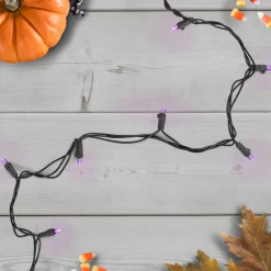 Best Wide Angle LED Christmas Lights - Purple - 16' Black Wire - 50ct Led